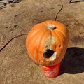 Quả bí ngô Jack-O-Lantern được quét 3D thực tế - Thumbnail 6
