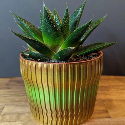 Chậu cây đơn giản in chế độ bình hoa