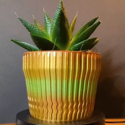 Chậu cây đơn giản in chế độ bình hoa