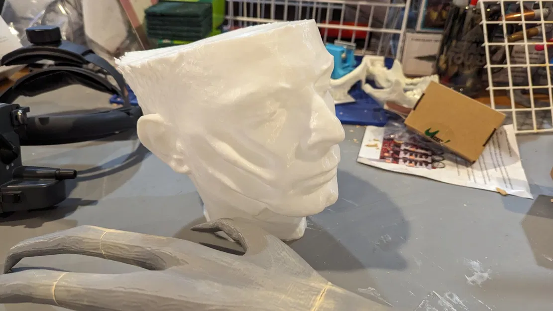 Xác chết đầu lính do tấn công của động vật hoặc người n... - Image 6