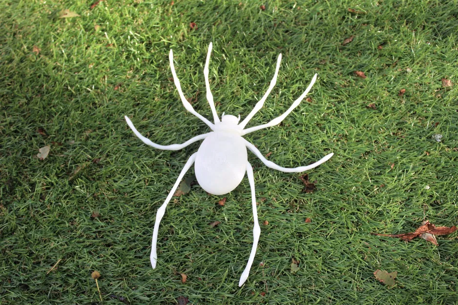 Trang trí nhện cho Halloween - Image 1