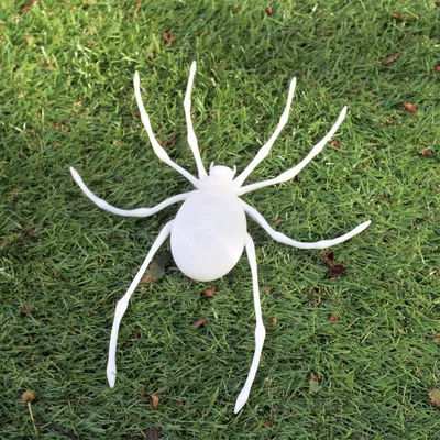 Trang trí nhện cho Halloween