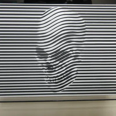 Ảnh ảo giác về hộp sọ - Skullusion của HueForge