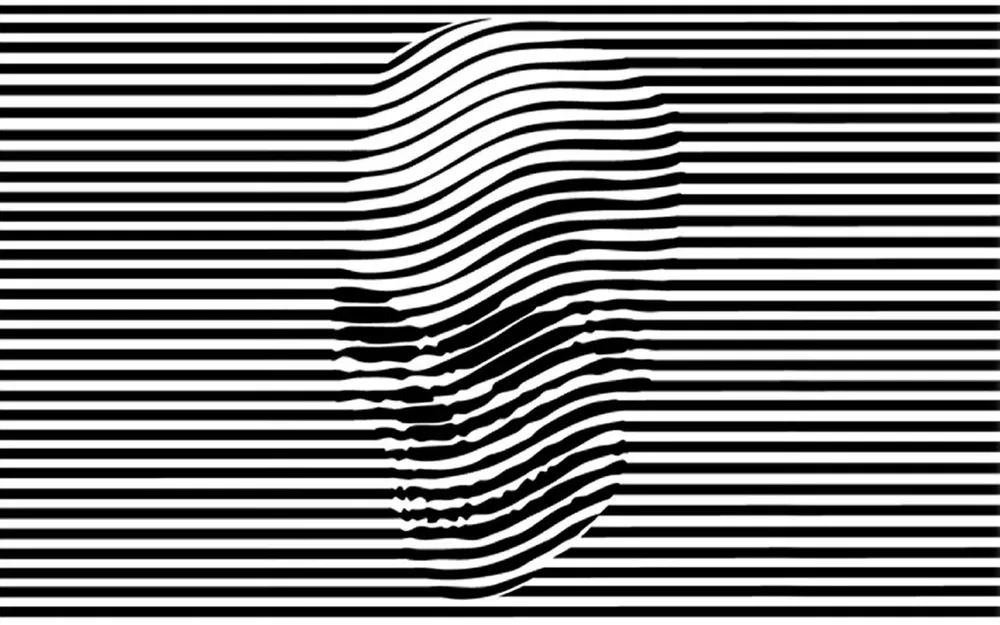 Ảnh ảo giác về hộp sọ - Skullusion của HueForge - Image 2