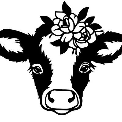 Trang trí tường hình bò cái nghệ thuật