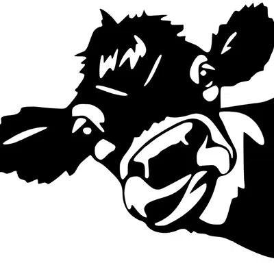 Trang trí tường với hình ảnh con bò nghệ thuật