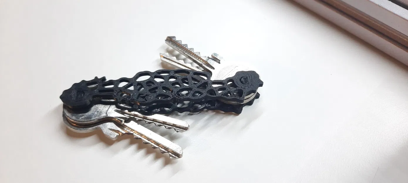 Giá đỡ chìa khóa thiết kế Voronoi KeyFOLD - Image 1