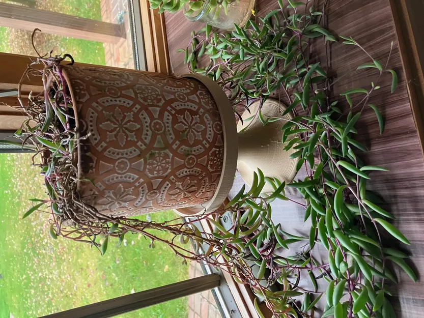 Giá đỡ cây tròn cho chậu cây xương rồng - Image 1