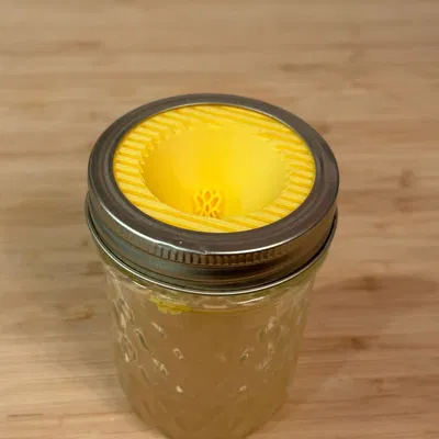 Bẫy ruồi trái cây thiết kế hình chóp độc đáo