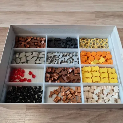 Giá đỡ tổ chức trò chơi Caverna cho các thành phần game