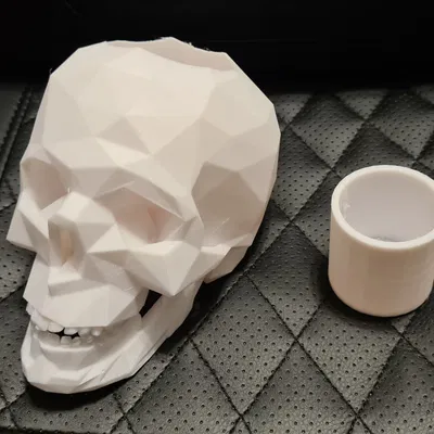 Chậu cây succulent hình đầu lâu