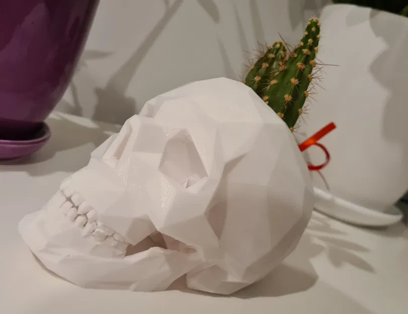 Chậu cây succulent hình đầu lâu - Image 3