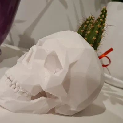 Chậu cây succulent hình đầu lâu