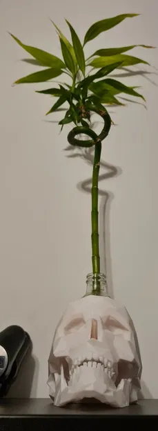 Chậu cây succulent hình đầu lâu - Image 4