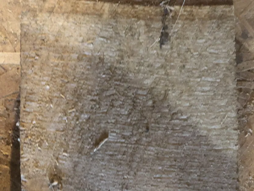 Bánh mài phẳng và lồi 2" và 3" cho máy cắt Worx - Image 3