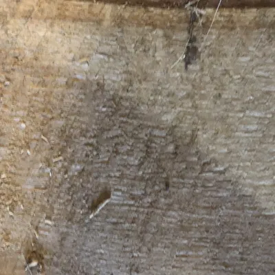 Bánh mài phẳng và lồi 2" và 3" cho máy cắt Worx