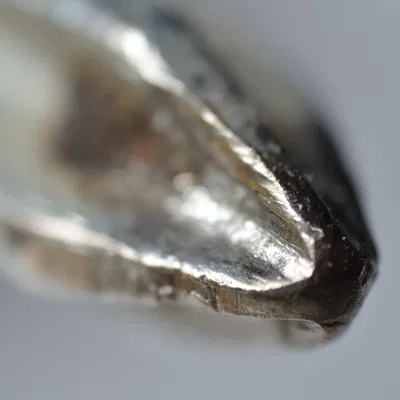 Bộ chuyển đổi kính hiển vi DX Nikon 2.75x và 4x