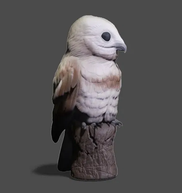 Tượng chim Potoo lớn - Chim ma thực tế - Image 1