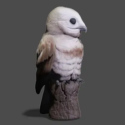 Tượng chim Potoo lớn - Chim ma thực tế