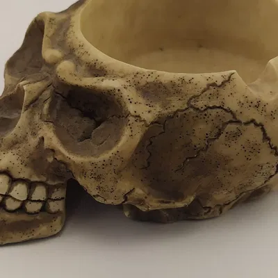 Gạt tàn thuốc lá hình đầu lâu nghệ thuật