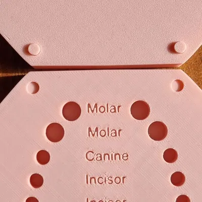 Hộp đựng răng cho trẻ em rất đẹp