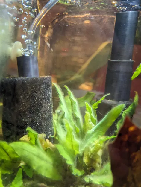 Bộ lọc bọt biển tích hợp đá không khí cho bể cá nhỏ - Image 5