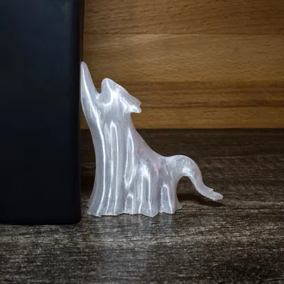 Mèo ma Halloween mài vuốt huyền bí