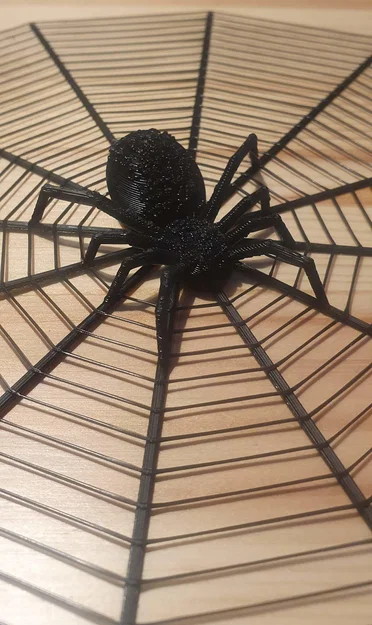 Nhện Halloween trong lưới với hai kích thước khác nhau - Image 1
