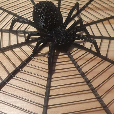 Nhện Halloween trong lưới với hai kích thước khác nhau