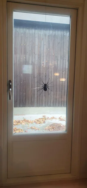 Nhện Halloween trong lưới với hai kích thước khác nhau - Image 4