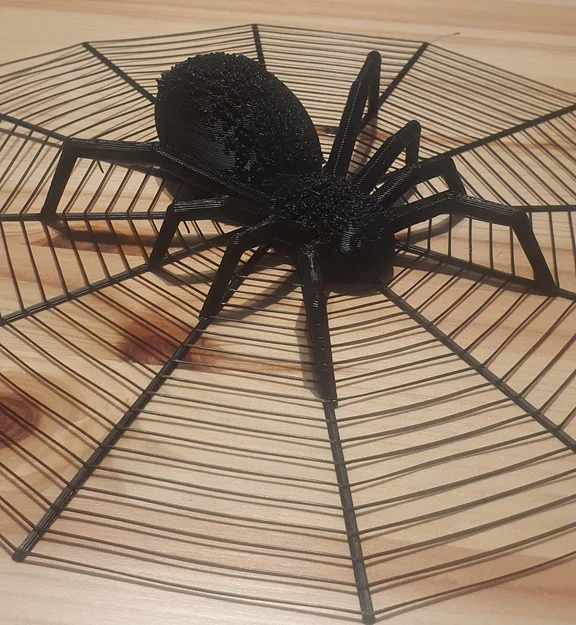Nhện Halloween trong lưới với hai kích thước khác nhau - Image 5