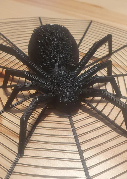 Nhện Halloween trong lưới với hai kích thước khác nhau - Image 8