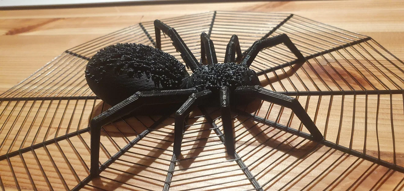 Nhện Halloween trong lưới với hai kích thước khác nhau - Image 10