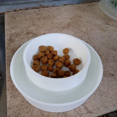 Bát ăn cho mèo chống kiến với thiết kế trống nước