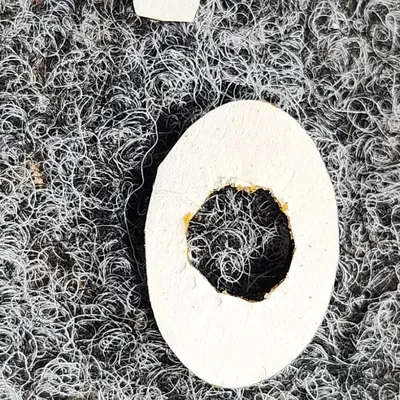 Bảo vệ nút chuyển kênh và công tắc BOXX Atom thế hệ 4