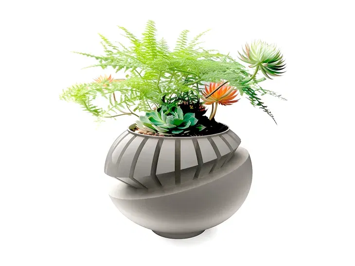 Chậu cây trong nhà có lỗ thoát nước cho hoa và xương rồng - Image 1