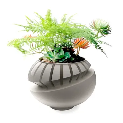 Chậu cây trong nhà có lỗ thoát nước cho hoa và xương rồng