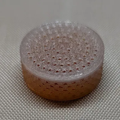 Puck hút ẩm cho bộ sạc máy trợ thính Phonak/Unitron