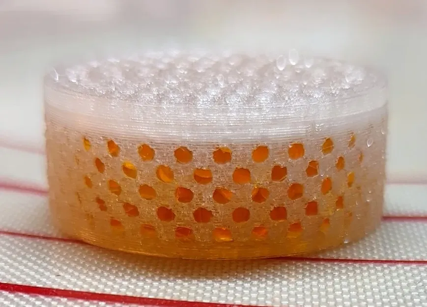 Puck hút ẩm cho bộ sạc máy trợ thính Phonak/Unitron - Image 4