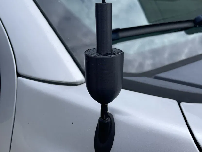 Đồ trang trí ăng-ten tôm hùm cho xe hơi - Image 1