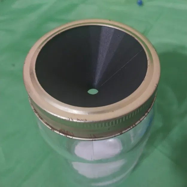 Bẫy ruồi trái cây bằng hũ Mason - Image 1