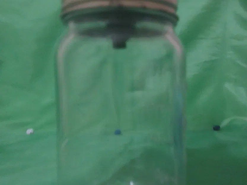 Bẫy ruồi trái cây bằng hũ Mason - Image 3