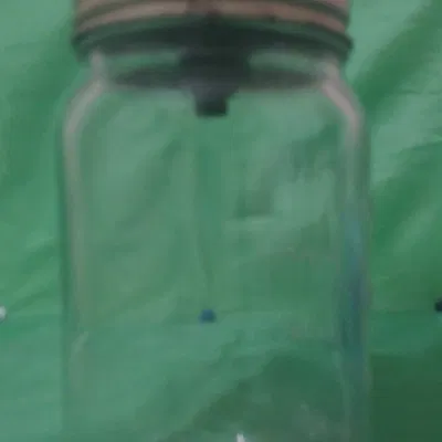 Bẫy ruồi trái cây bằng hũ Mason