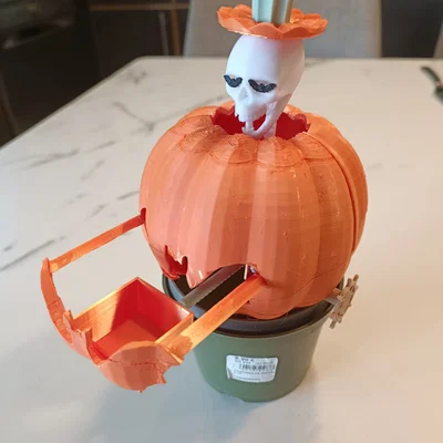 Quả bí ngô bất ngờ với bộ xương thời trang