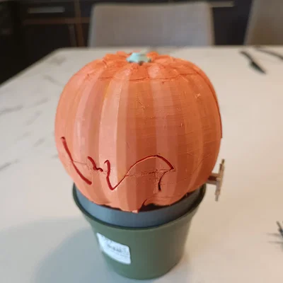 Quả bí ngô bất ngờ với bộ xương thời trang