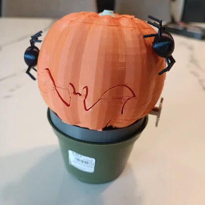 Quả bí ngô bất ngờ với bộ xương thời trang