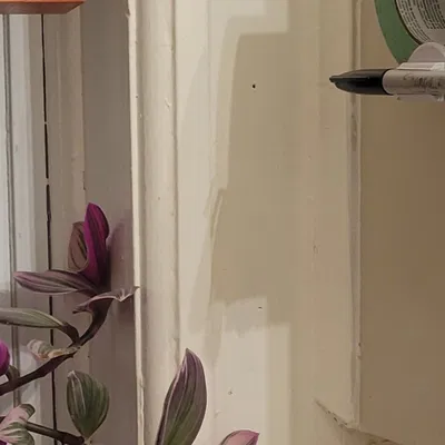 Giá đỡ băng dính treo tường với chỗ để bút đánh dấu