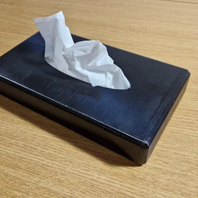 Hộp đựng khăn giấy ô tô gọn nhẹ và tiện lợi