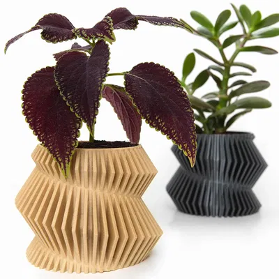 Chậu cây hình xoắn ốc độc đáo dạng lamellar