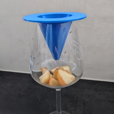 Bẫy ruồi trái cây bằng nắp ly vang hoặc bình hoa